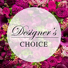 A Designers Choice Deal of the Day